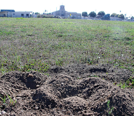 PVUSD trustees approve E.A. Hall athletic field