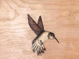 Cabrillo’s annual fundraising exhibit returns