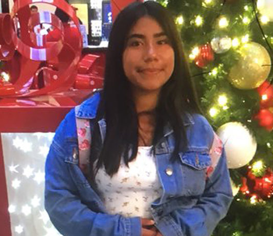 Police searching for missing Watsonville girl