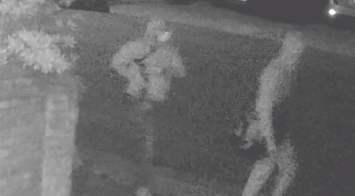 Reward offered, video released in kidnapping case