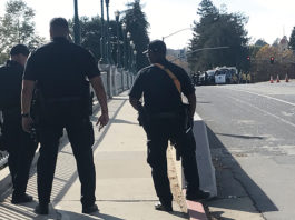 Knife wielder shuts down SC bridge