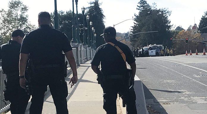 Knife wielder shuts down SC bridge