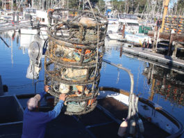 Commercial crab season pushed back