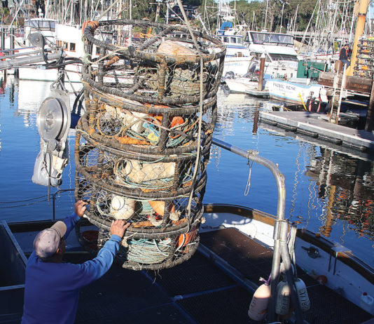 Commercial crab season pushed back