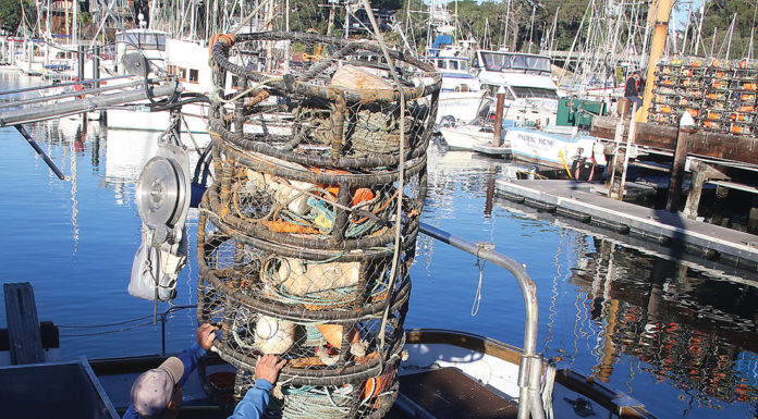 Commercial crab season pushed back