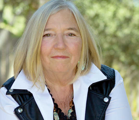 Former local teacher pens first novel