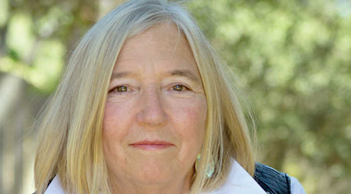 Former local teacher pens first novel