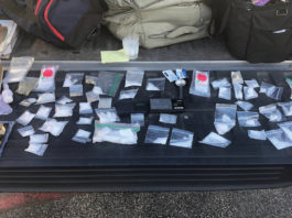 Car stop leads to significant drug bust