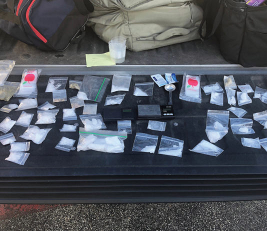 Car stop leads to significant drug bust