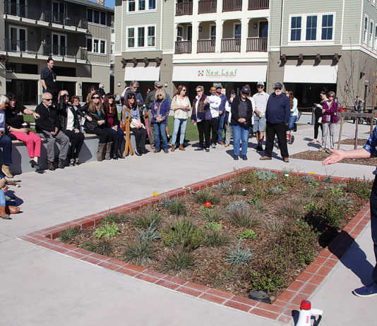 Bricks highlight Aptos community