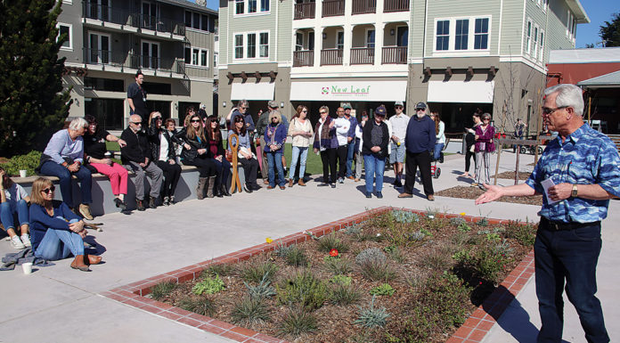 Bricks highlight Aptos community