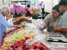 Farmers markets to reopen
