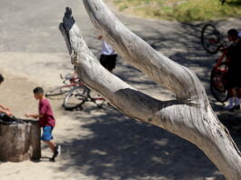 Gov. Newsom to close beaches, parks statewide Friday covid-19 beaches