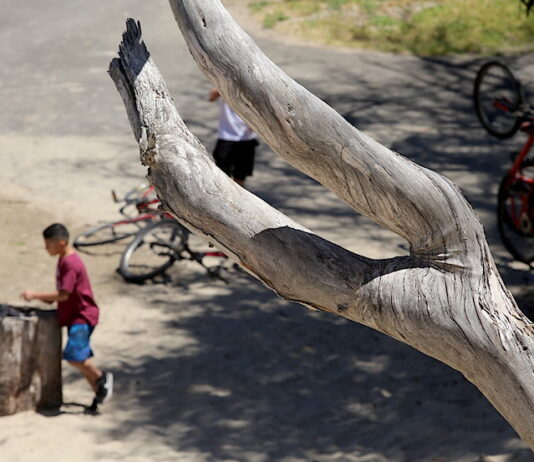 Gov. Newsom to close beaches, parks statewide Friday covid-19 beaches