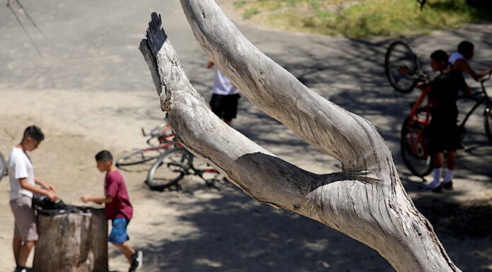Gov. Newsom to close beaches, parks statewide Friday covid-19 beaches