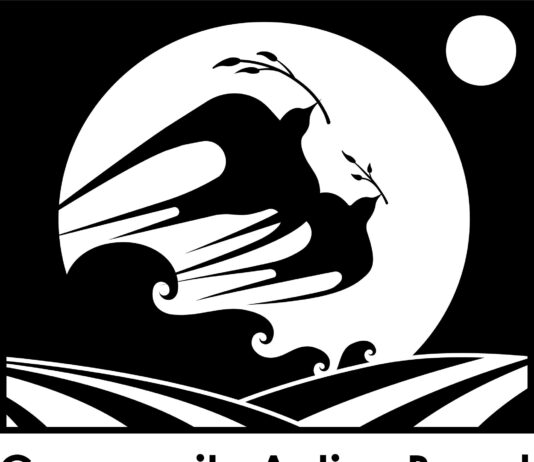 State’s undocumented immigrant assistance program starts Monday Community action board