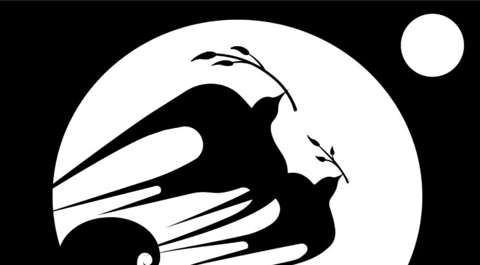 State’s undocumented immigrant assistance program starts Monday Community action board