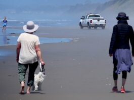 Sheriff: We will enforce county beach restrictions Santa Cruz County coronavirus