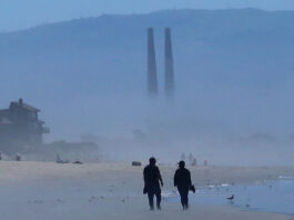 Santa Cruz County restricts beaches, loosens order to reopen several industries Watsonville beach covid-19