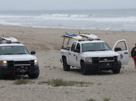 Man dies from shark attack at Santa Cruz County beach Santa Cruz county shark attack