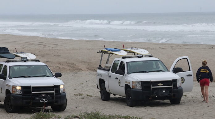 Man dies from shark attack at Santa Cruz County beach Santa Cruz county shark attack