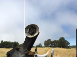 Aptos fire antenna