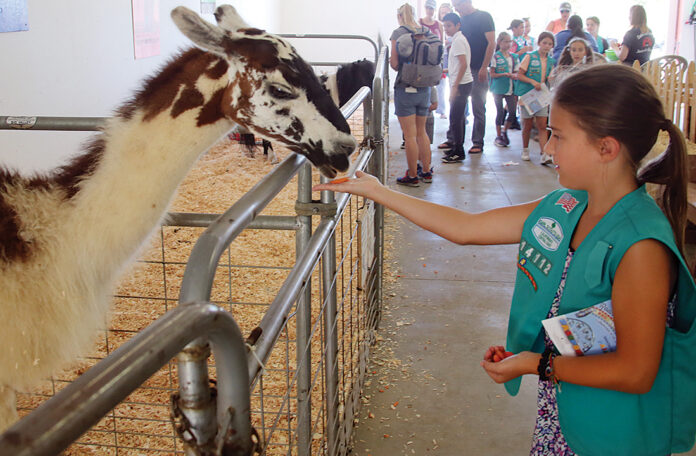 santa cruz county animal rules