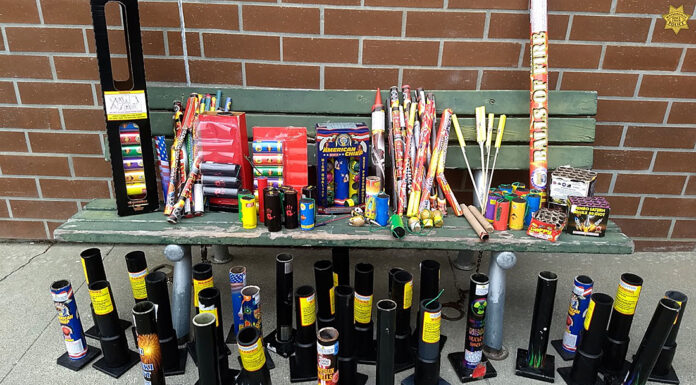 Illegal fireworks keep local law enforcement busy on Fourth Watsonville Police fireworks