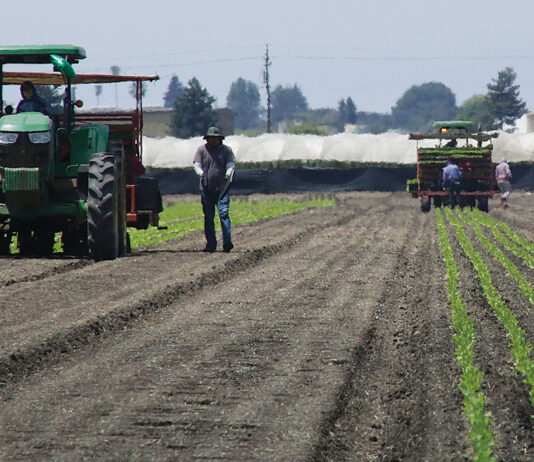 New housing program helps farmworkers during Covid-19 pandemic housing for the harvest