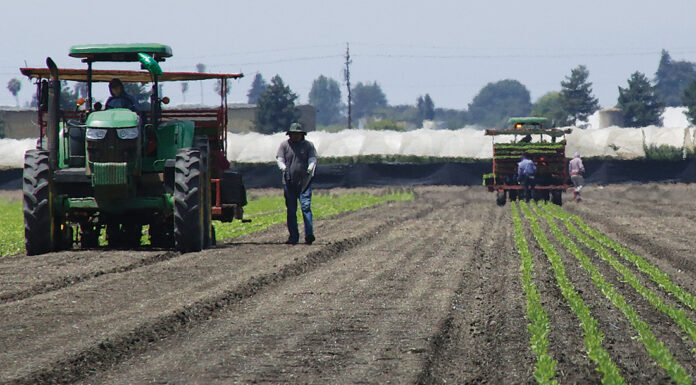 New housing program helps farmworkers during Covid-19 pandemic housing for the harvest