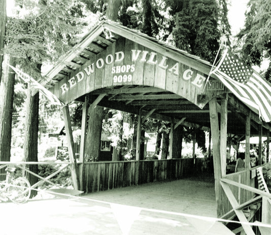 Redwood Village Redwood village