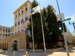 Watsonville government