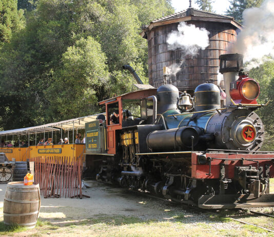 RTC publicly discusses railbanking Santa Cruz Branch roaring camp rtc