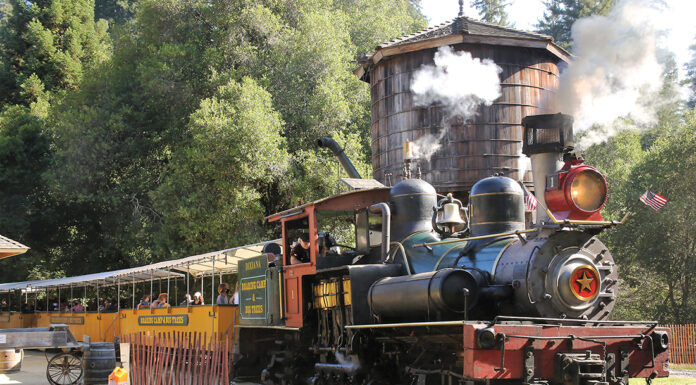 RTC publicly discusses railbanking Santa Cruz Branch roaring camp rtc