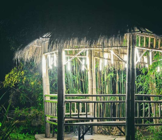 Bamboo Giant offering first-ever nighttime walkthrough experience