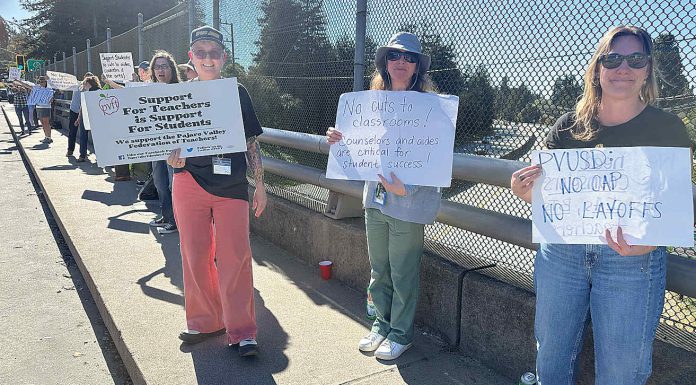 PVUSD Trustees grapple with possible school closures, grim budget outlook