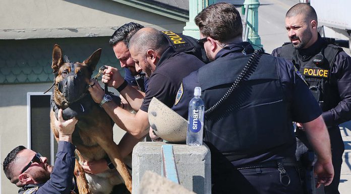 Man arrested after wild chase