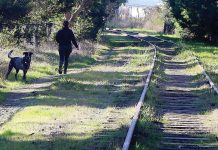 RTC looks to federal, state government to fill rail funding gap