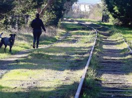 RTC looks to federal, state government to fill rail funding gap