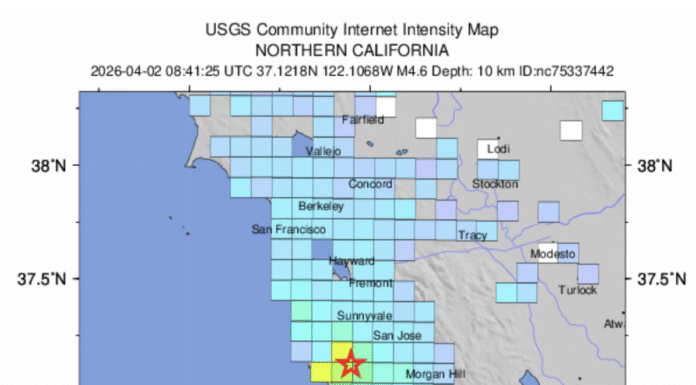 4.6 magnitude earthquake rattles Central Coast