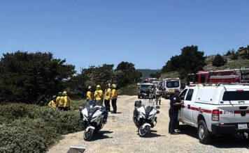 Man dies in solo-vehicle crash north of Santa Cruz
