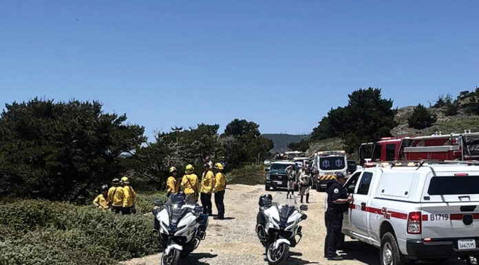 Man dies in solo-vehicle crash north of Santa Cruz