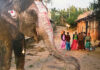 Photo show by Mary Altier goes around the world