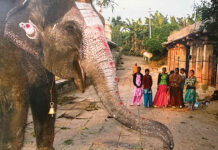 Photo show by Mary Altier goes around the world