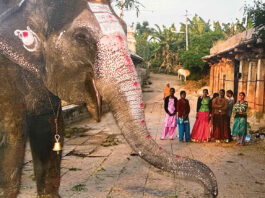 Photo show by Mary Altier goes around the world