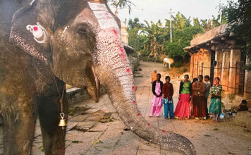 Photo show by Mary Altier goes around the world