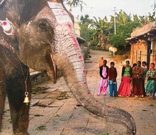 Photo show by Mary Altier goes around the world
