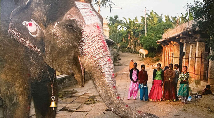 Photo show by Mary Altier goes around the world