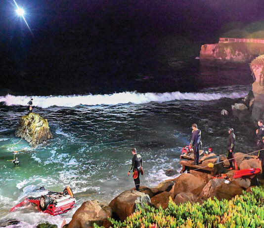UC Santa Cruz student killed in West Cliff Drive crash