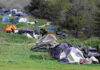 Annual homelessness census shows slight increase In 2024, a string of tents and makeshift shelters lined the Pajaro River levee in Watsonville. (Tarmo Hannula/Pajaronian file)